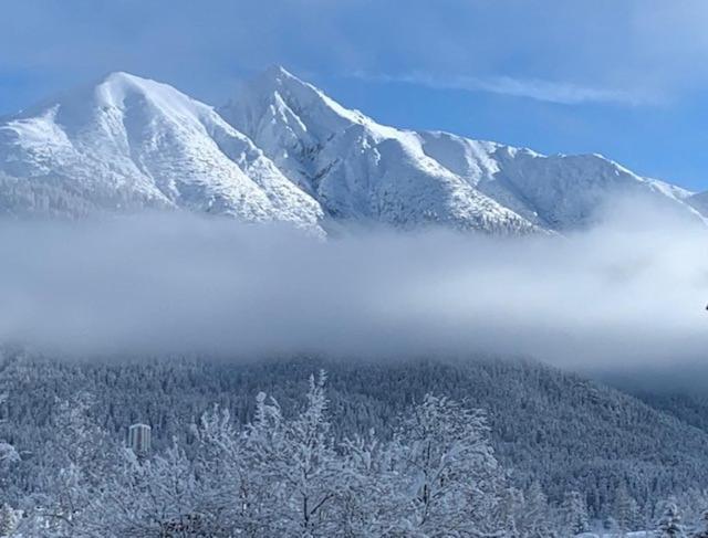 Appartement Haus Anna à Seefeld in Tirol Extérieur photo