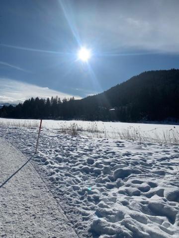 Appartement Haus Anna à Seefeld in Tirol Extérieur photo
